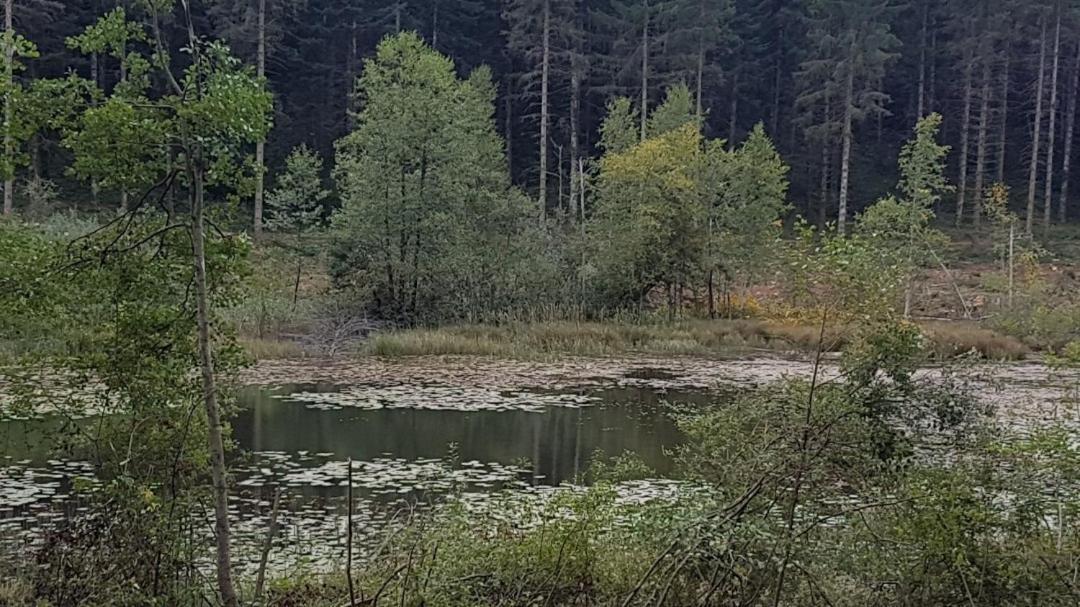 Gite La Censiere Chatel-de-Joux Екстер'єр фото